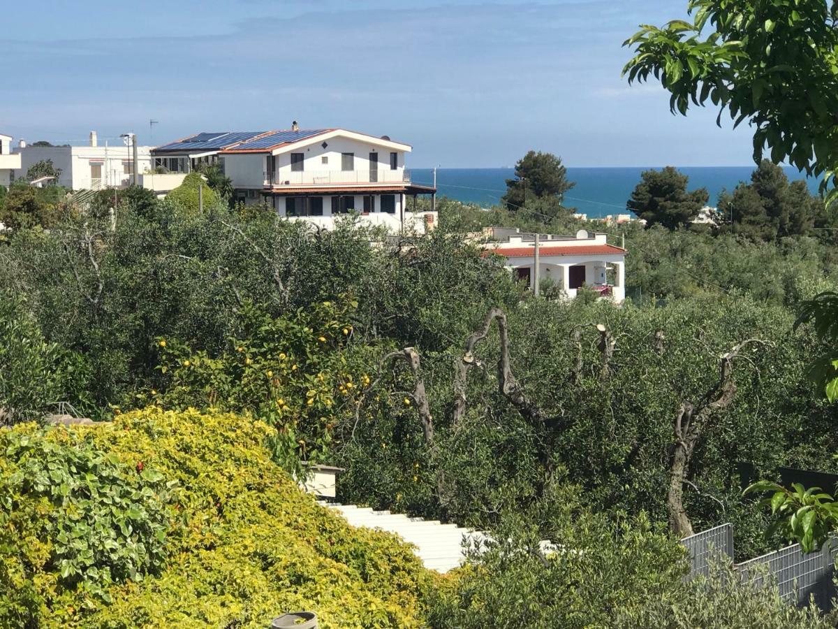 Appartamenti Santa Margherita Vieste Ngoại thất bức ảnh
