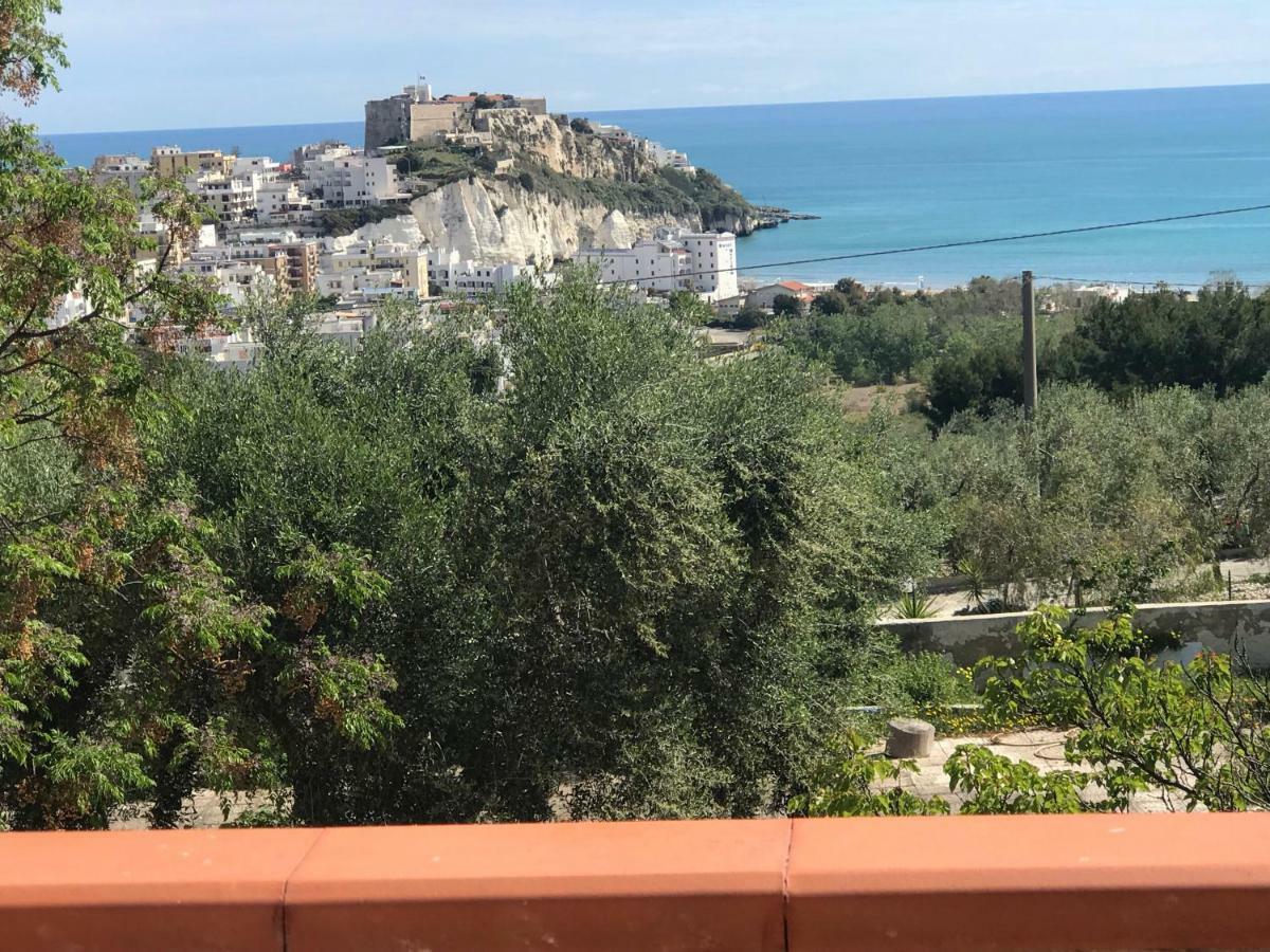 Appartamenti Santa Margherita Vieste Ngoại thất bức ảnh